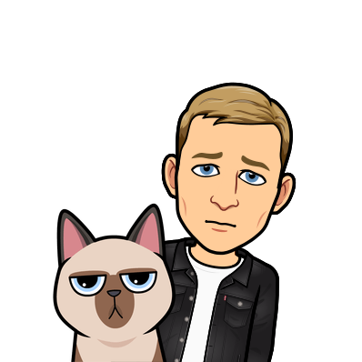 frowning with sad eyes and dropping brows with a sad siamese cat