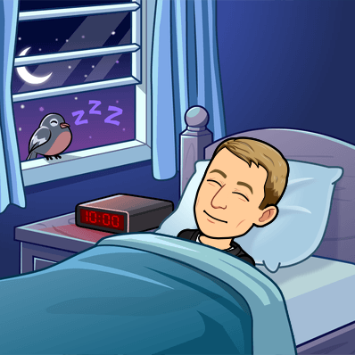 sleeping peacefully in bed with a bird dozing off on the window sill 