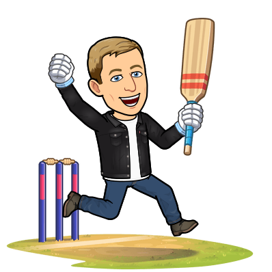 playing cricket and cheering