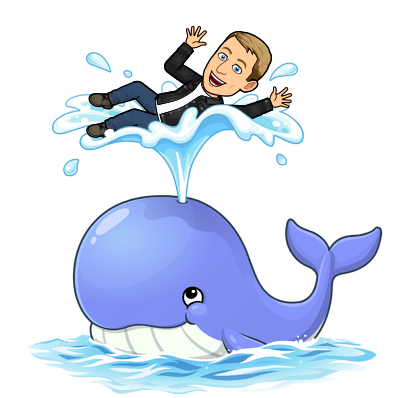 floating atop a water spray from friendly whale blowhole